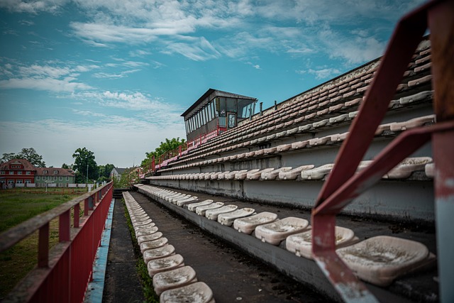 帮助泰山队 帮助泰山队