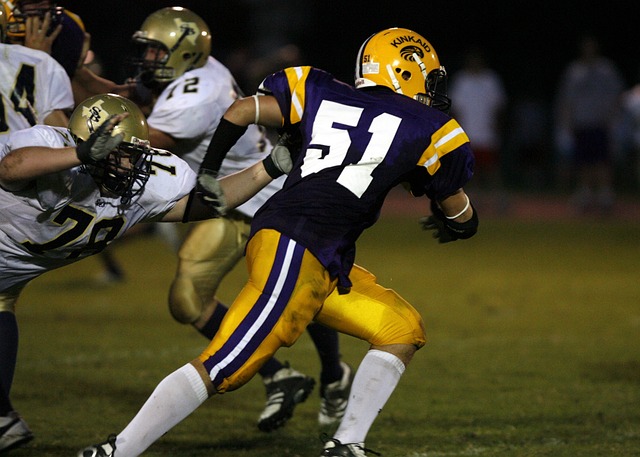 在众多豪强 在众多豪强