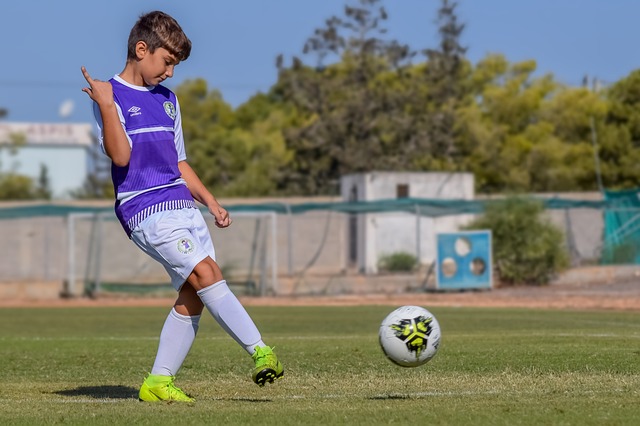 他们不仅在 他们不仅在