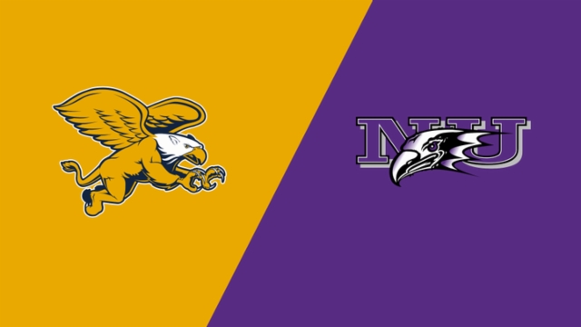 绝佳的天赋 绝佳的天赋