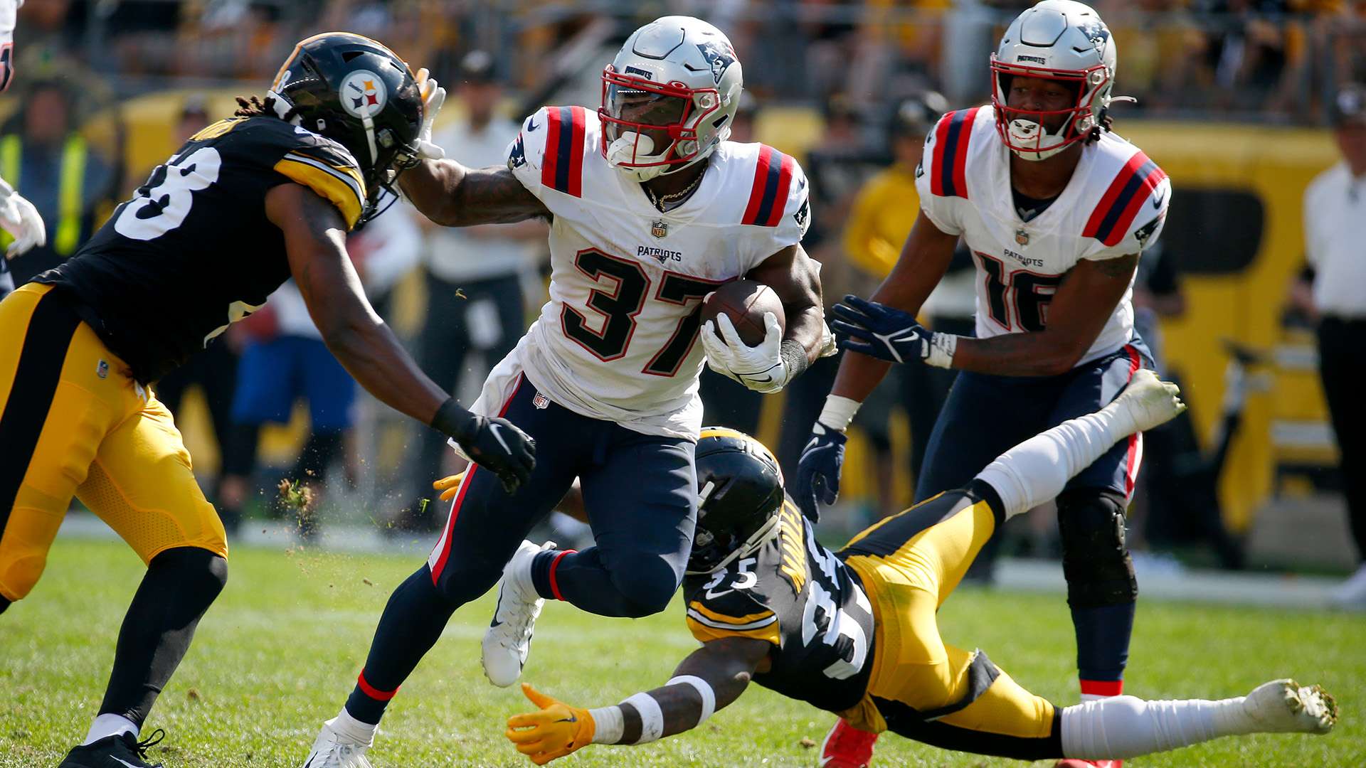 陣容爭取開 陣容爭取開