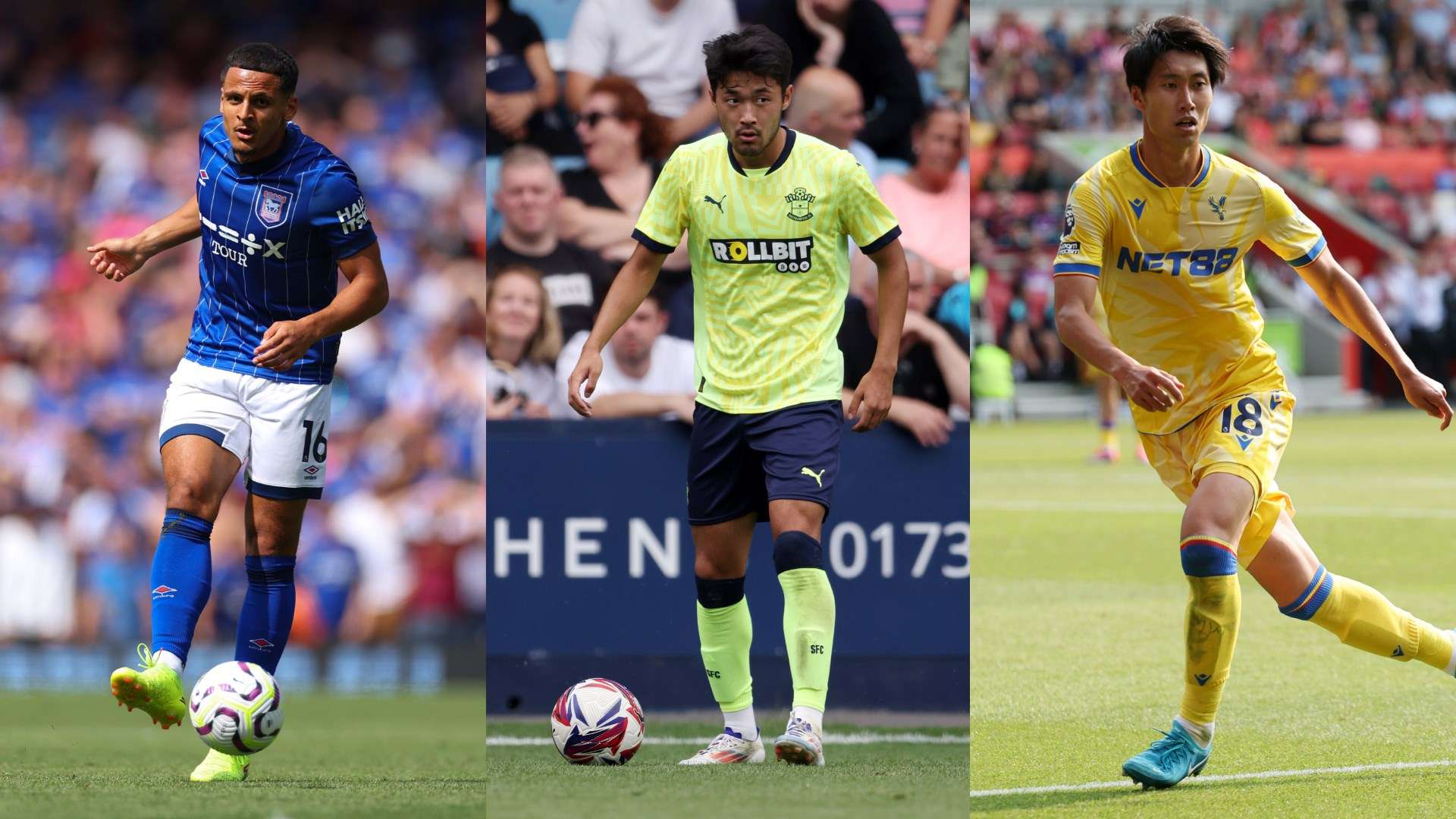 庭成為了越 庭成為了越