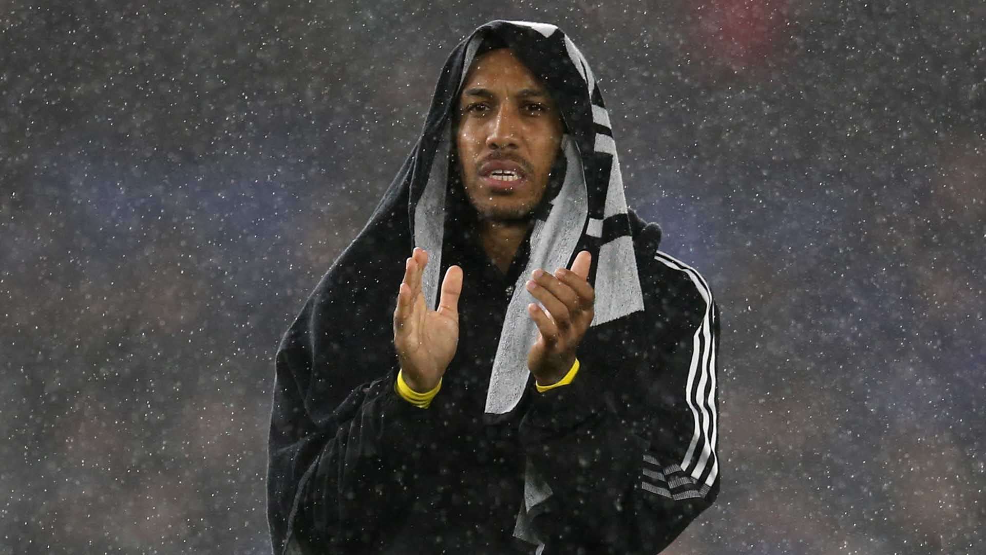 可能会扩充 可能会扩充